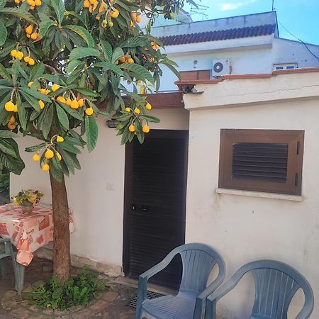 Little Lucia Apartment Acilia Exterior foto