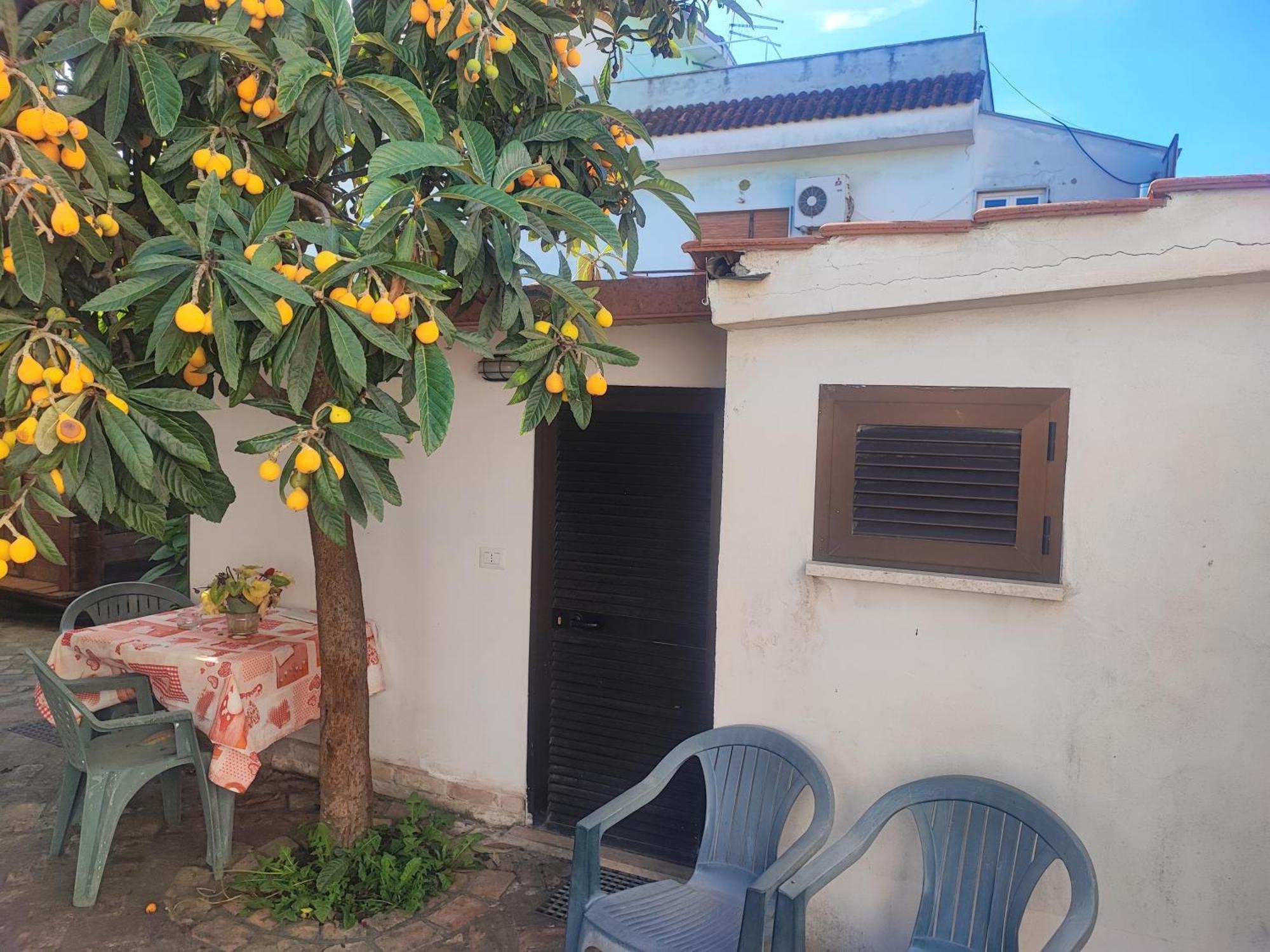 Little Lucia Apartment Acilia Exterior foto